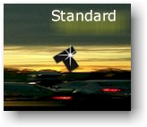 Download Standard
